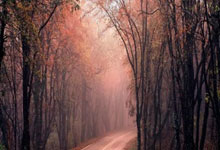 200粒三唑仑查获：海关严打毒品走私，守护国门安全