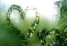 国务院重拳出击，烟草市场专项整治行动全面启动