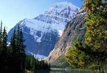 200粒三唑仑查获：海关严打毒品走私，守护国门安全