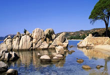 传奇教练郎平：三关节置换，逆境中绽放体育精神